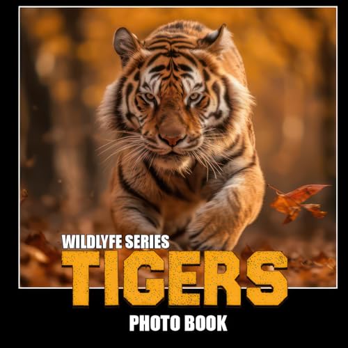 Beispielbild fr Tigers - The Photo Book zum Verkauf von PBShop.store US