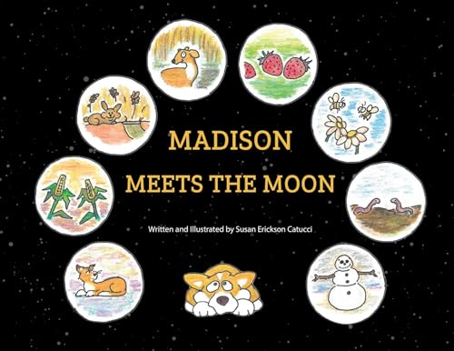 Imagen de archivo de Madison Meets The Moon a la venta por GreatBookPrices