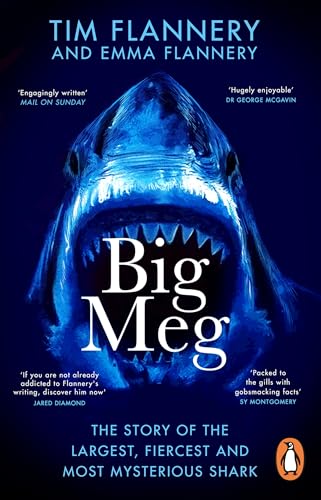 Stock image for Big Meg for sale by Kennys Bookstore