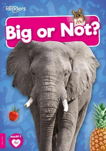 Stock image for Big or Not? (Paperback) for sale by Grand Eagle Retail