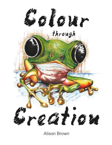 Beispielbild fr Colour through Creation zum Verkauf von Book Deals