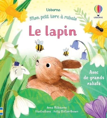 9781805313298: Le lapin - Mon petit livre  rabats