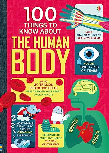 Beispielbild fr 100 Things to Know About the Human Body zum Verkauf von Blackwell's