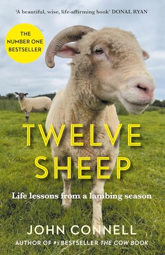 9781805461906: Twelve Sheep: Life lessons from a lambing season