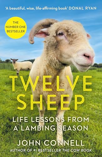 9781805461920: Twelve Sheep: Life lessons from a lambing season
