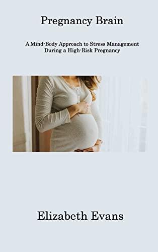 Imagen de archivo de Pregnancy Brain: A Mind-Body Approach to Stress Management During a High-Risk Pregnancy a la venta por Buchpark