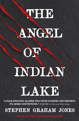 Stock image for The Angel Of Indian Lake for sale by Kennys Bookshop and Art Galleries Ltd.