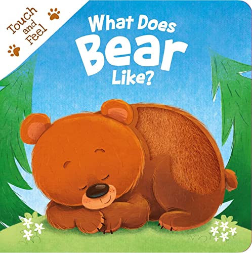 9781837716579: What Does Bear Like?: Touch & Feel Board Book (Touch and Feel)