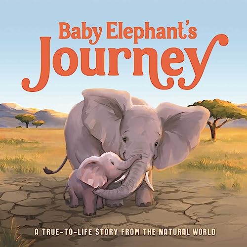 Stock image for Baby Elephant's Journey: A True-To-Life Story From the Natural World for sale by BookOutlet