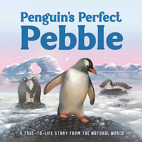 Stock image for Penguin's Perfect Pebble: A True-To-Life Story From the Natural World for sale by BookOutlet