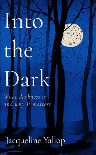 Imagen de archivo de Into the Dark : What Darkness Is and Why It Matters a la venta por GreatBookPrices