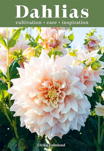 Stock image for Dahlias for sale by Blackwell's
