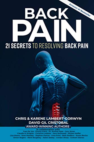 Beispielbild fr Back Pain: 21 Secrets To Resolving Back Pain zum Verkauf von AwesomeBooks