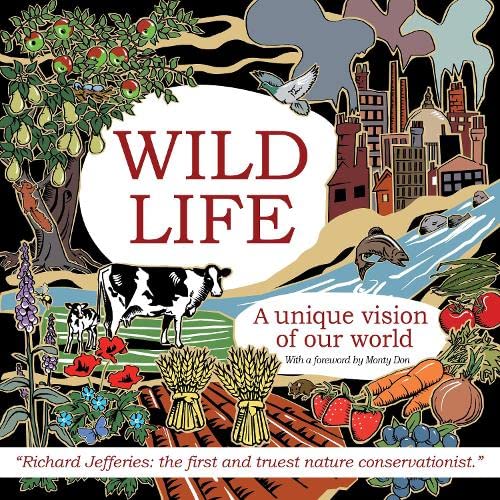 Beispielbild fr Wild Life: A unique vision of our world zum Verkauf von AwesomeBooks