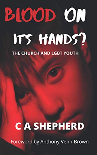 Imagen de archivo de Blood on its hands?: The Church and LGBT Youth a la venta por Ergodebooks