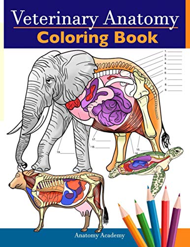 Imagen de archivo de Veterinary Anatomy Coloring Book: Animals Physiology Self-Quiz Color Workbook for Studying and Relaxation | Perfect gift For Vet Students and even Adults a la venta por HPB Inc.
