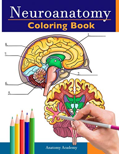 Imagen de archivo de Neuroanatomy Coloring Book: Incredibly Detailed Self-Test Human Brain Coloring Book for Neuroscience | Perfect Gift for Medical School Students, Nurses, Doctors and Adults a la venta por SecondSale
