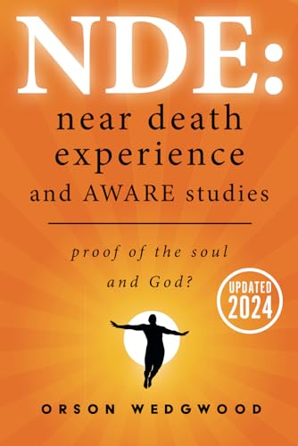 Beispielbild fr NDE: Near Death Experience and AWARE studies: Proof Of The Soul and God? zum Verkauf von Books Unplugged