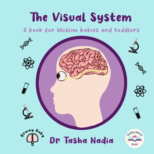 Imagen de archivo de The Visual System: A Book for Muslim Babies and Toddlers: Brainy Baby Books (Brainy Baby: Books for Muslim Babies and Toddlers) a la venta por GF Books, Inc.