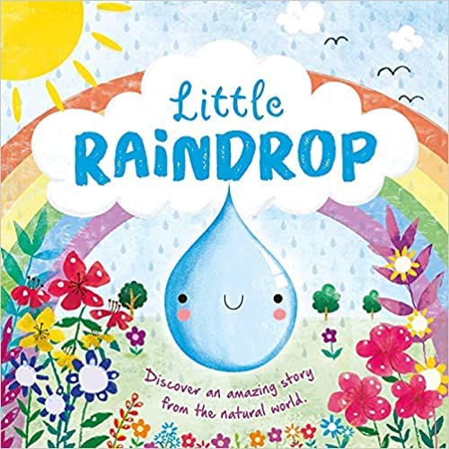 Imagen de archivo de Little Raindrop a la venta por ThriftBooks-Atlanta