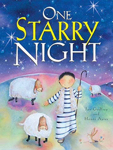 Imagen de archivo de One Starry Night a la venta por AwesomeBooks
