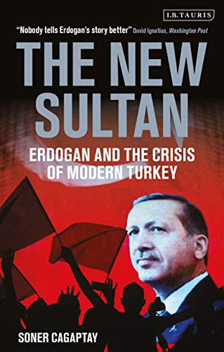 Stock image for The New Sultan: Erdogan and the Crisis of Modern Turkey for sale by Goodwill Industries