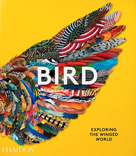 Imagen de archivo de Bird: Exploring the Winged World a la venta por Revaluation Books