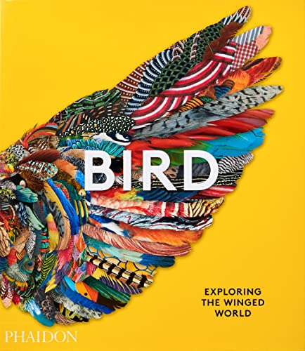 9781838661403: Bird: Exploring the Winged World