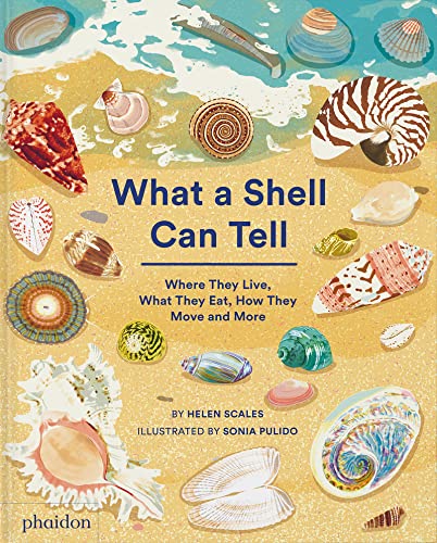 9781838664305: What a Shell Can Tell (CHILDRENS BOOKS)