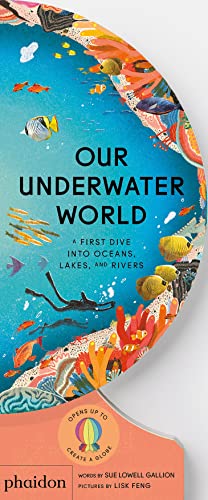 Imagen de archivo de Our Underwater World : A First Dive into Oceans, Lakes, and Rivers a la venta por GreatBookPrices