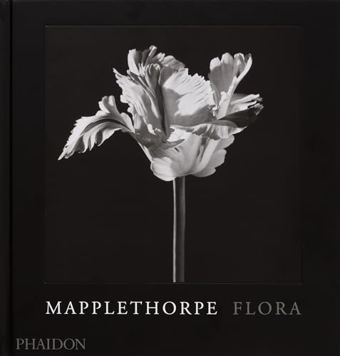 Beispielbild fr Mapplethorpe Flora zum Verkauf von Blackwell's