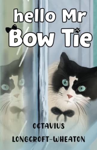 9781838752675: Hello Mr Bow Tie