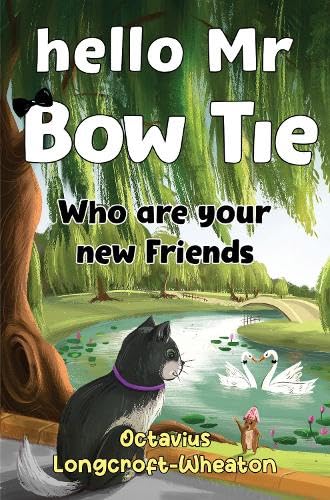 Beispielbild fr Hello Mr Bow Tie, Who are your new Friends zum Verkauf von WorldofBooks