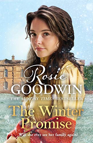 Stock image for The Winter Promise: A perfect cosy Victorian saga from the Sunday Times bestselling author (Precious Stones) for sale by WorldofBooks