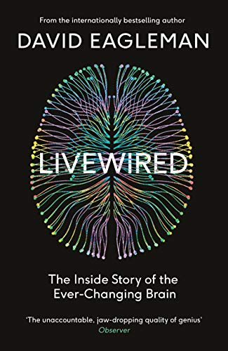 Stock image for Livewired: The Inside Story of the Ever-Changing Brain for sale by GF Books, Inc.