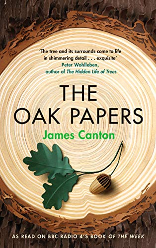 9781838851507: The Oak Papers