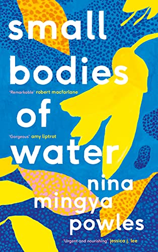 Imagen de archivo de Small Bodies of Water a la venta por Better World Books