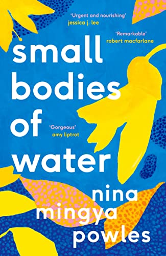 Imagen de archivo de Small Bodies of Water a la venta por WorldofBooks