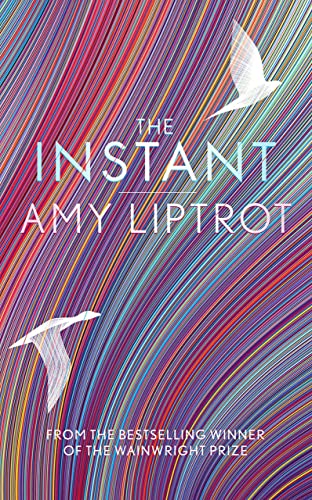 Beispielbild fr The Instant: Amy Liptrot zum Verkauf von WorldofBooks