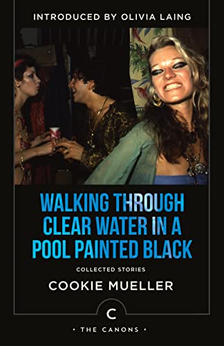 Imagen de archivo de Walking Through Clear Water In a Pool Painted Black: Collected Stories (Canons) a la venta por AwesomeBooks