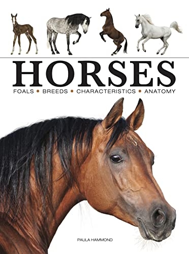 Beispielbild fr Horses (Mini Encyclopedia) zum Verkauf von Goodwill Books