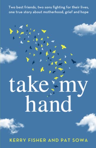 Stock image for Take My Hand: Two best friends, two sons fighting for their lives, one true story about motherhood, grief and hope for sale by Zoom Books Company