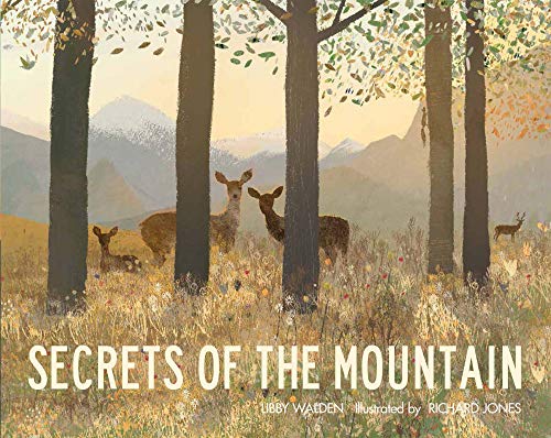 Beispielbild fr Secrets of the Mountain: 1 zum Verkauf von WorldofBooks