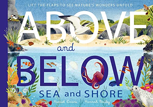 Stock image for Above and Below: Sea and Shore: Lift the flaps to see nature's wonders unfold for sale by Books Unplugged