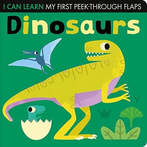 Beispielbild fr Dinosaurs zum Verkauf von AwesomeBooks