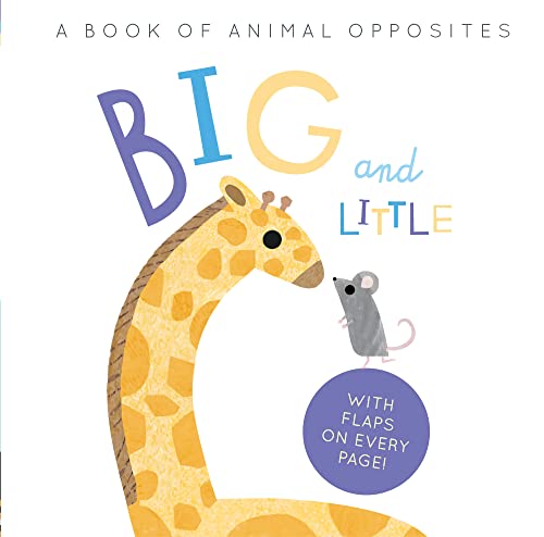 Stock image for Big and Little for sale by Blackwell's