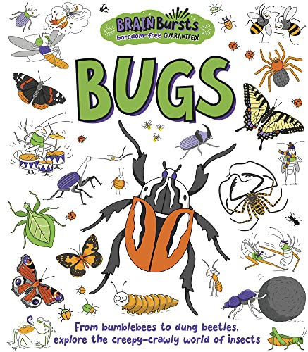 Beispielbild fr Bugs (Brain Bursts) zum Verkauf von WorldofBooks