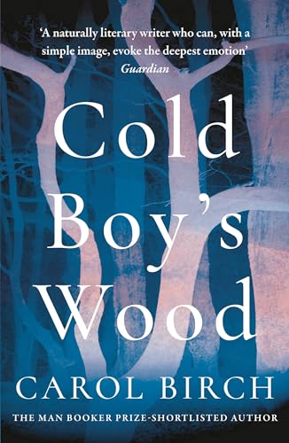 9781838939434: Cold Boy's Wood