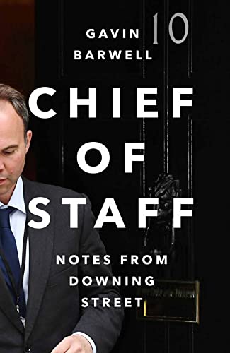 Beispielbild fr Chief of Staff: Notes from Downing Street zum Verkauf von WorldofBooks