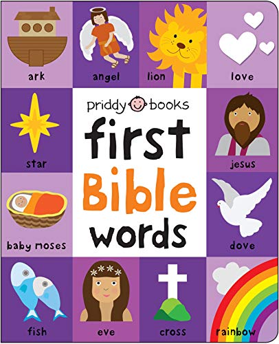 9781838990060: First 100 Bible Words (First 100 Soft To Touch)